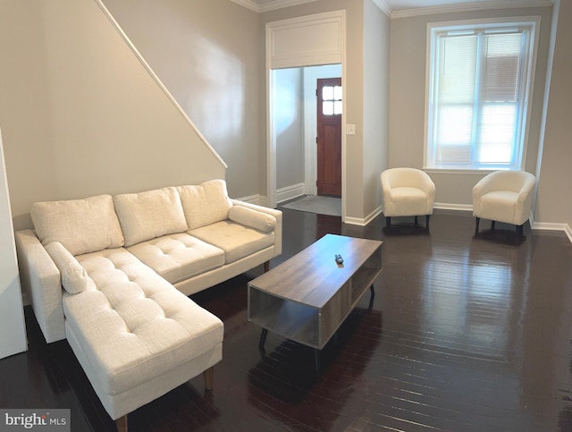 living room with dark hardwood / wood-style floors and crown molding