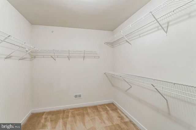 spacious closet featuring carpet