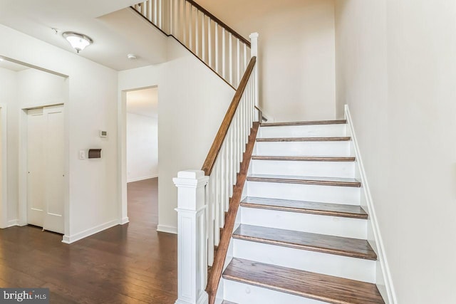 stairway featuring wood-type flooring