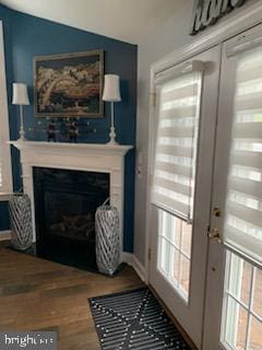 doorway featuring wood-type flooring and a wealth of natural light