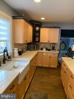 kitchen with light brown cabinetry, dark hardwood / wood-style floors, and sink