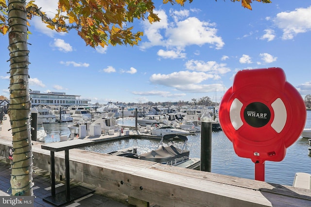 800 4th St SW Unit S312, Washington, DC 20024 - dock area featuring a water view and view of marina