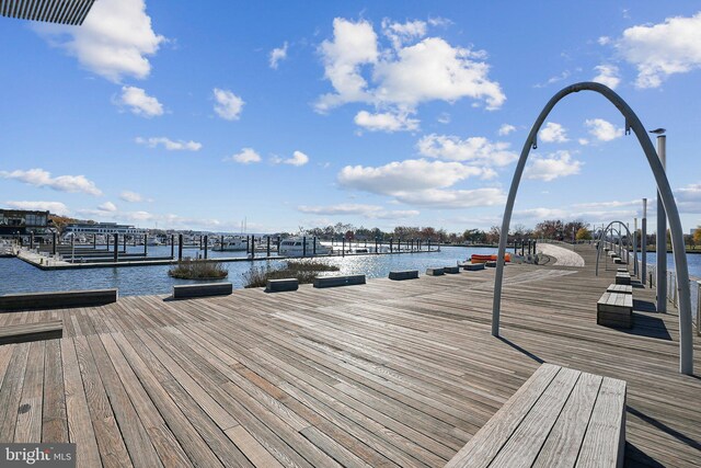 800 4th St SW Unit S312, Washington, DC 20024 - dock with a water view