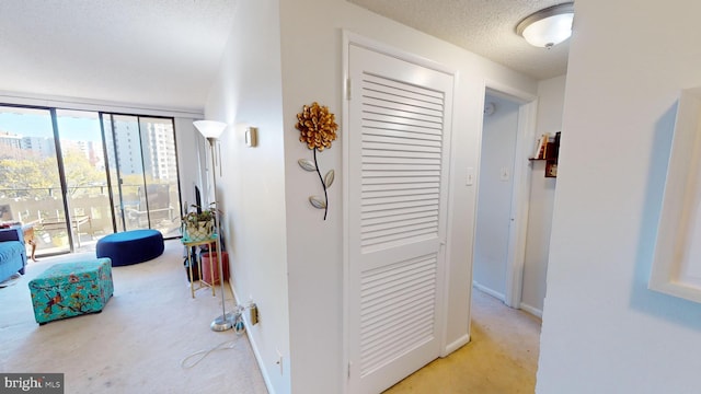 corridor with a wealth of natural light and a textured ceiling