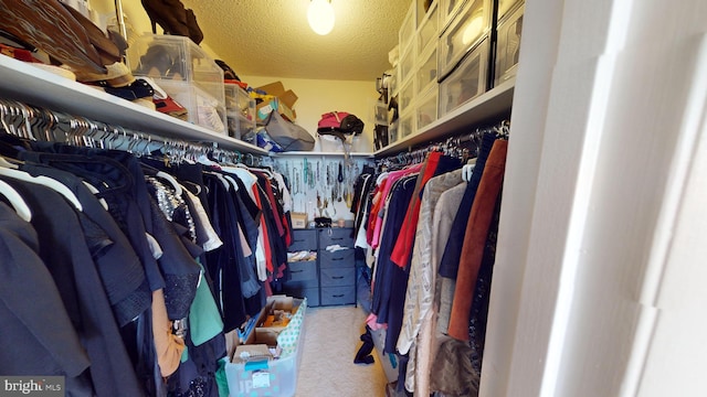 walk in closet featuring light carpet