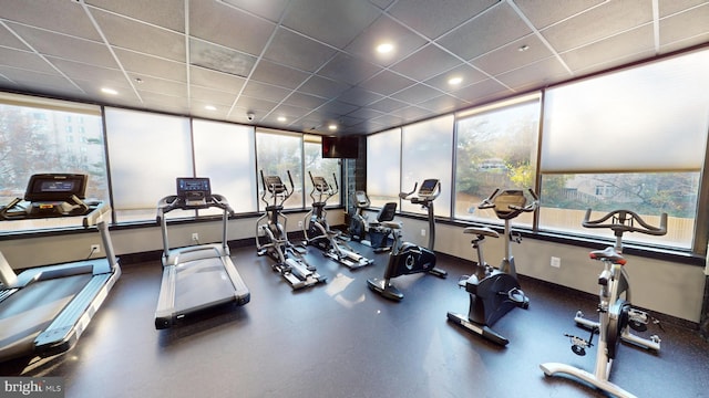 workout area featuring a paneled ceiling and floor to ceiling windows