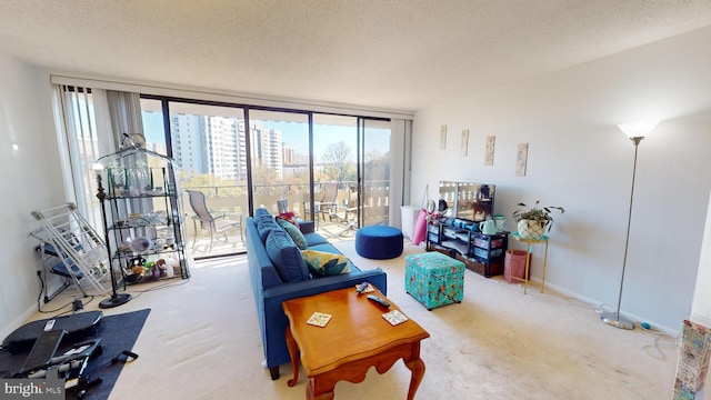 carpeted living room with a textured ceiling and a wall of windows