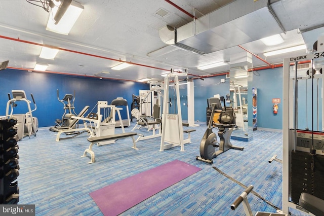 gym featuring carpet floors