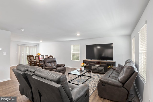 living room featuring light wood-type flooring