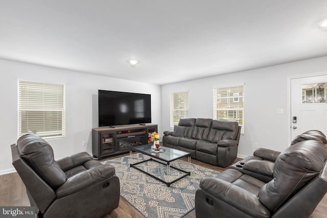 living room featuring hardwood / wood-style flooring