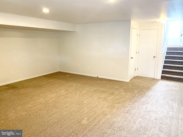 basement with carpet flooring