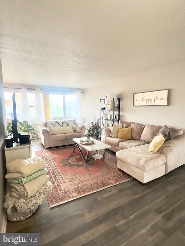 living room with a textured ceiling and hardwood / wood-style flooring