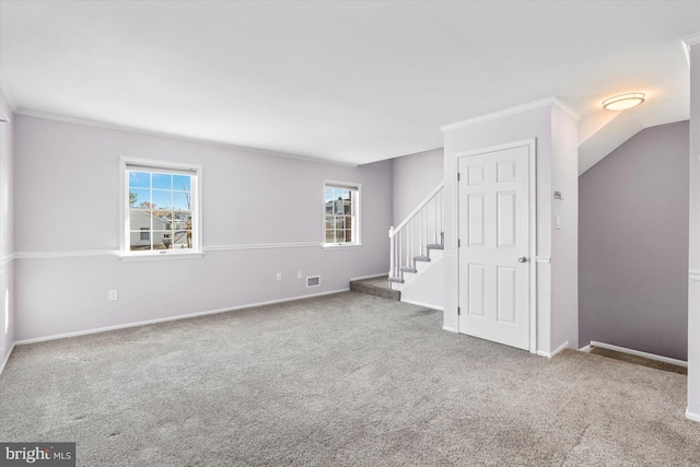 empty room with carpet floors and crown molding