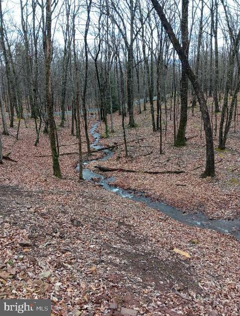 598 Honey Locust Ln, Great Cacapon, WV 25422 - view of nature