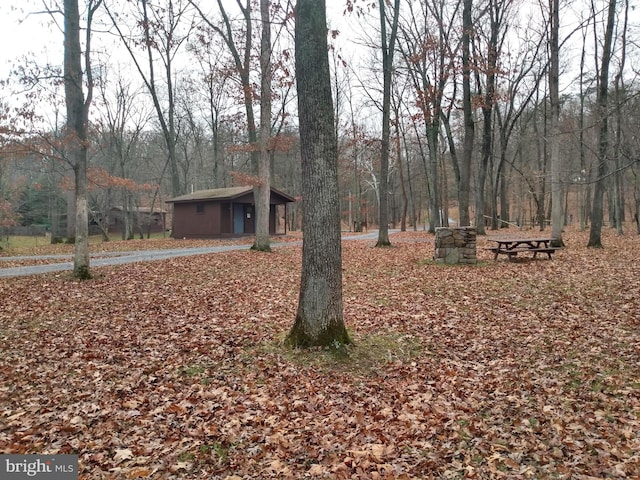 view of yard with an outdoor structure