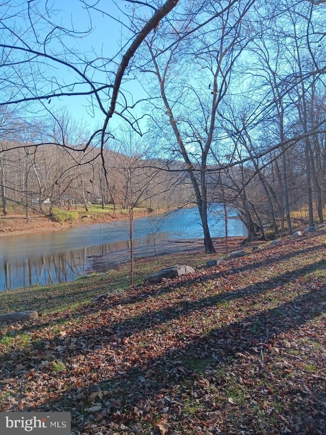 598 Honey Locust Ln, Great Cacapon, WV 25422 - water view