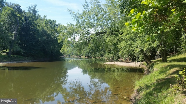 598 Honey Locust Ln, Great Cacapon, WV 25422 - water view featuring a forest