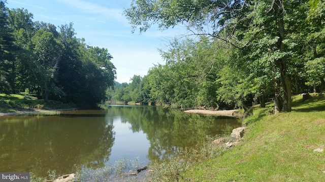 598 Honey Locust Ln, Great Cacapon, WV 25422 - water view featuring a forest