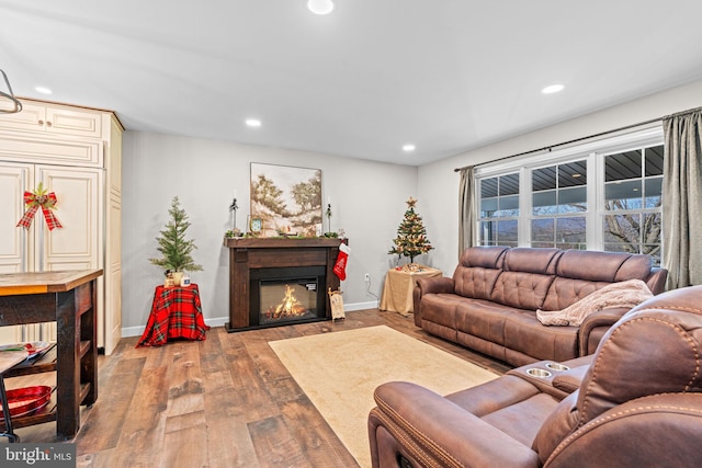 living room featuring wood-type flooring