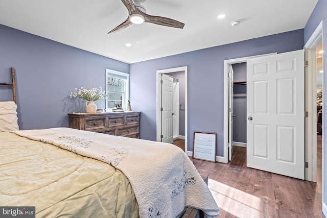 bedroom with hardwood / wood-style floors, ceiling fan, a walk in closet, and a closet