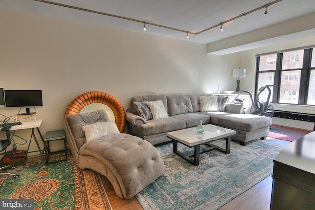 living room featuring hardwood / wood-style flooring and rail lighting