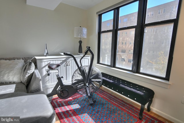 exercise room featuring hardwood / wood-style floors