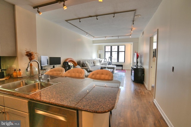 kitchen featuring hardwood / wood-style flooring, dishwasher, sink, and rail lighting