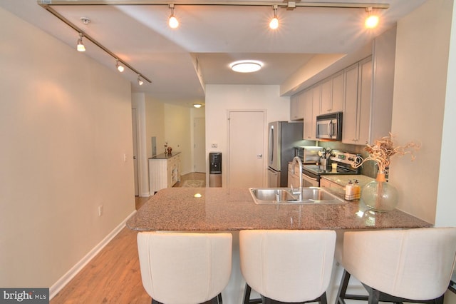 400 Massachusetts Ave NW Unit 423, Washington, DC 20001 - kitchen with appliances with stainless steel finishes, rail lighting, a sink, a peninsula, and light wood finished floors