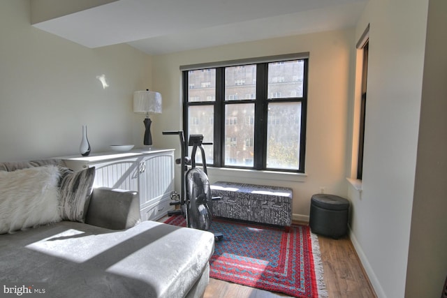 bedroom with hardwood / wood-style flooring and multiple windows