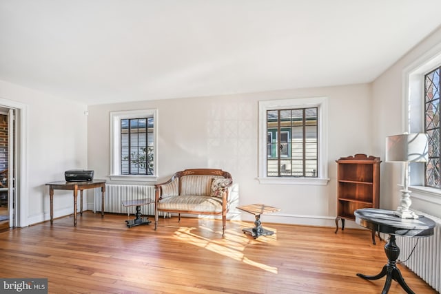 sitting room featuring radiator heating unit, plenty of natural light, and wood-type flooring