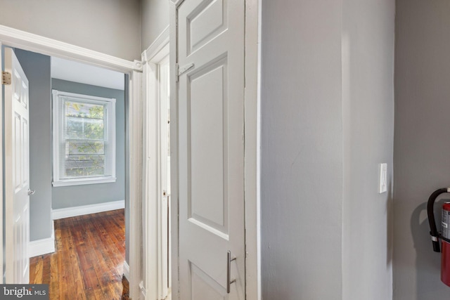 hallway featuring dark hardwood / wood-style floors