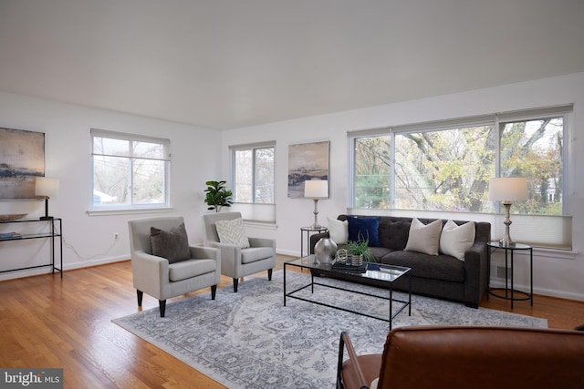 living room featuring light hardwood / wood-style flooring