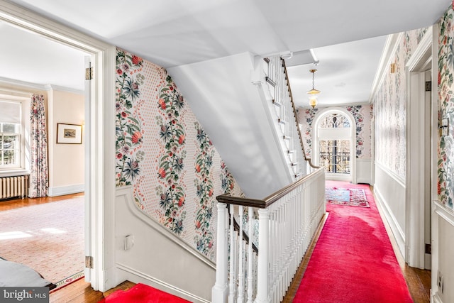 corridor featuring hardwood / wood-style flooring, ornamental molding, plenty of natural light, and radiator heating unit