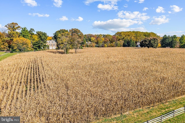 view of yard with a rural view