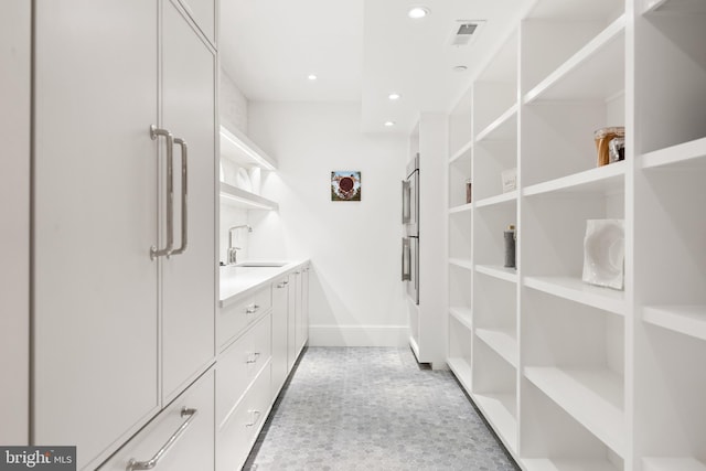 walk in closet featuring sink