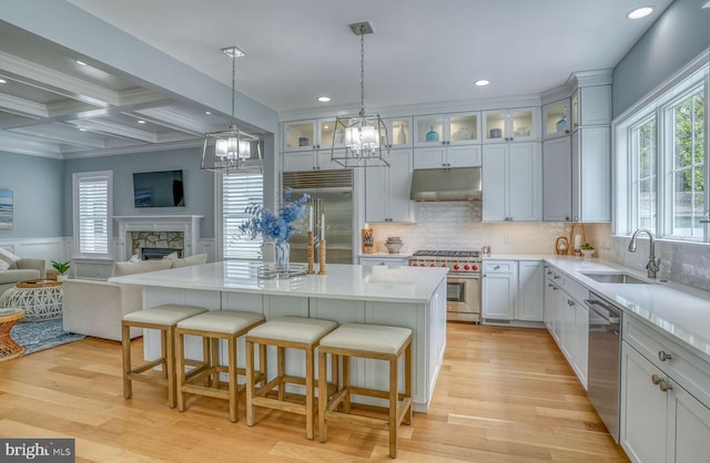 kitchen featuring premium appliances, light hardwood / wood-style floors, a kitchen island, and sink