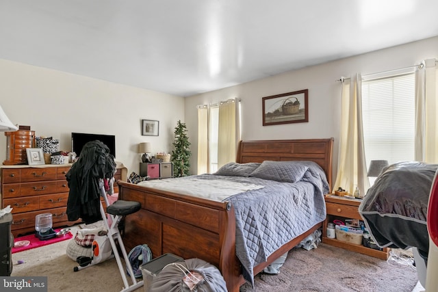 bedroom with carpet