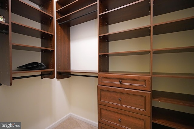 spacious closet with light colored carpet