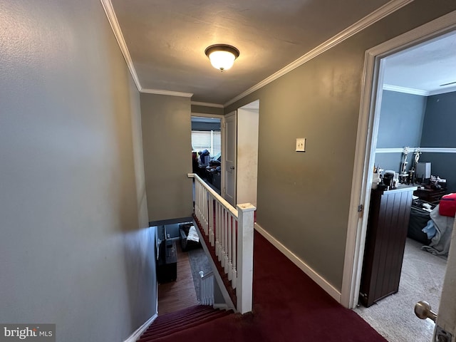 hallway with dark carpet and crown molding