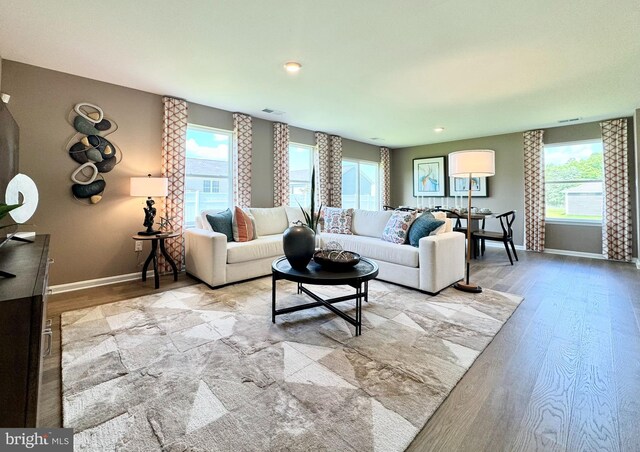 living room featuring light hardwood / wood-style flooring and a healthy amount of sunlight