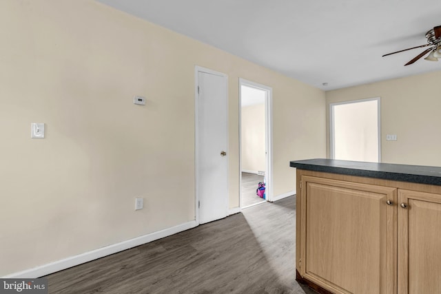 kitchen featuring light brown cabinetry, dark hardwood / wood-style flooring, and ceiling fan