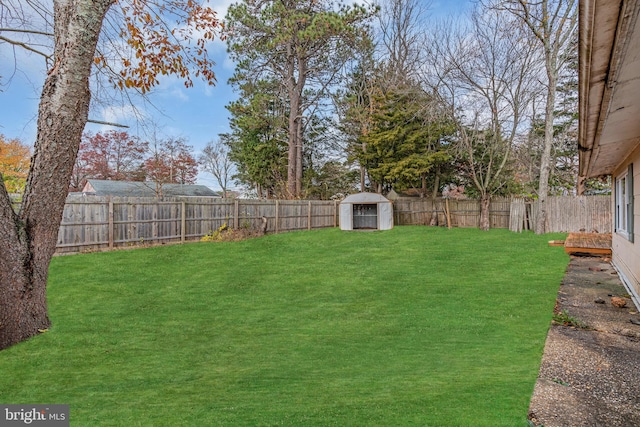 view of yard featuring a storage shed