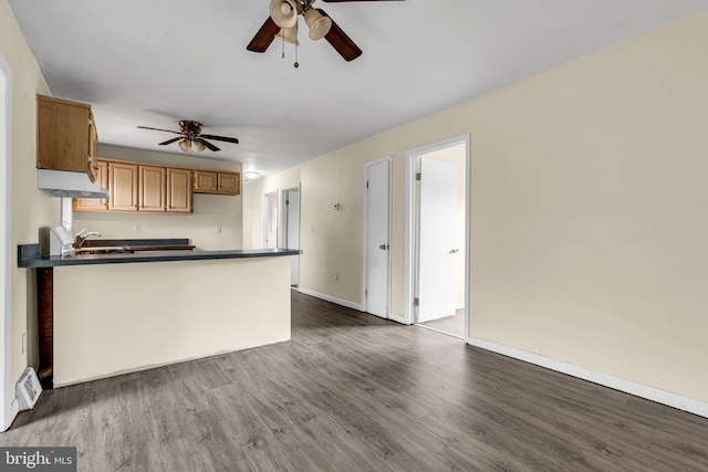 kitchen featuring kitchen peninsula, ceiling fan, sink, and dark hardwood / wood-style floors