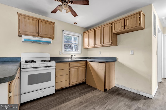 kitchen with gas range gas stove, dark hardwood / wood-style flooring, ceiling fan, and sink