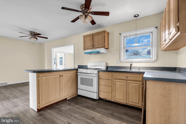 kitchen with ceiling fan, white gas stove, sink, dark wood-type flooring, and kitchen peninsula