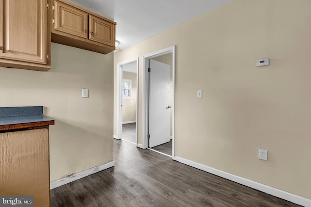 kitchen with light brown cabinets and dark wood-type flooring