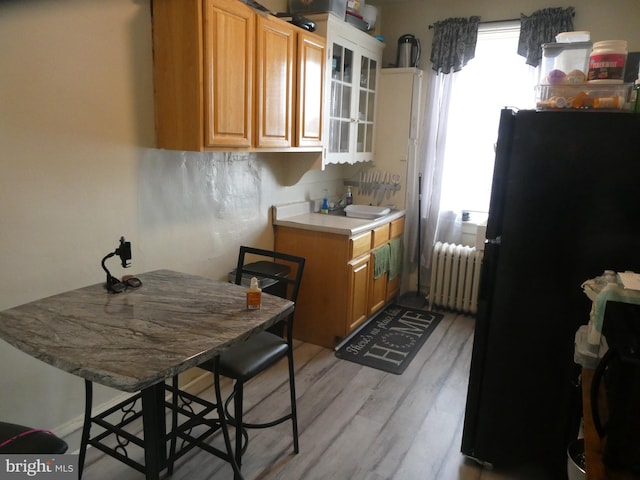 kitchen with a wealth of natural light, black fridge, radiator, and light hardwood / wood-style flooring