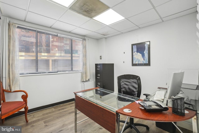 office area featuring hardwood / wood-style flooring and a drop ceiling