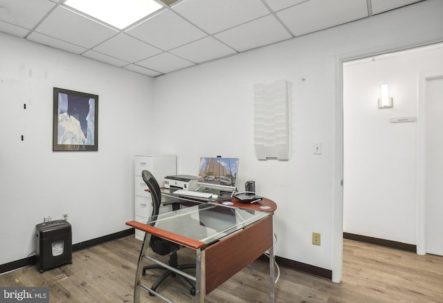 home office with hardwood / wood-style flooring and a drop ceiling