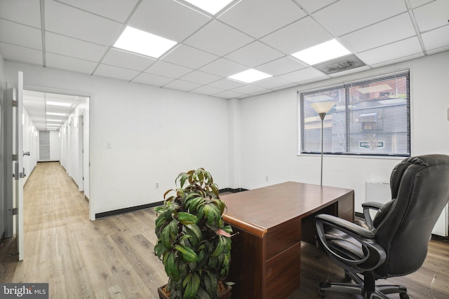 home office with light hardwood / wood-style flooring and a drop ceiling